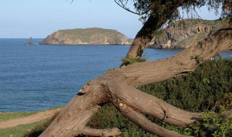 Appartamento In Casa Con Cortili Ad Arbus - Sardegna Eksteriør billede