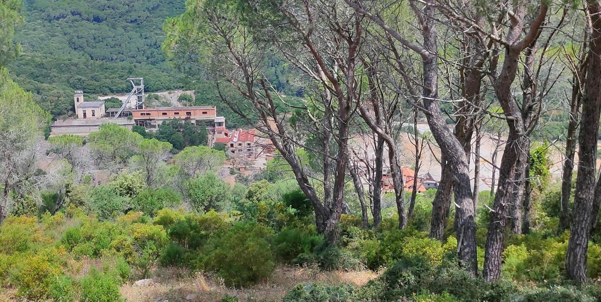 Appartamento In Casa Con Cortili Ad Arbus - Sardegna Eksteriør billede